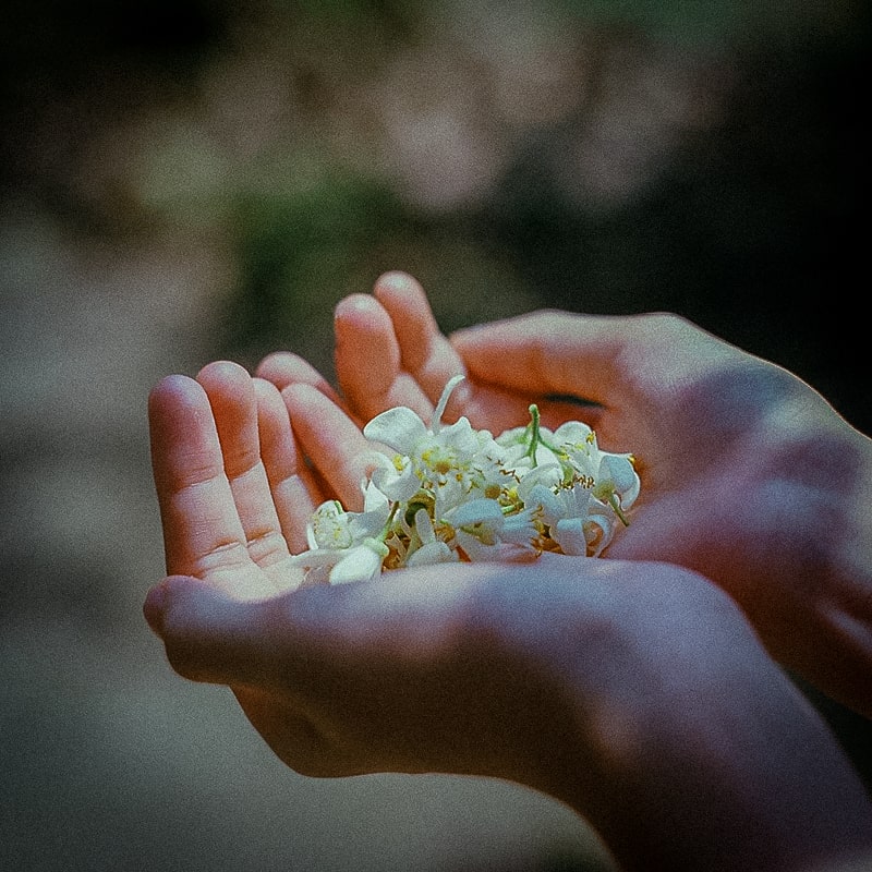Nature and water for connection