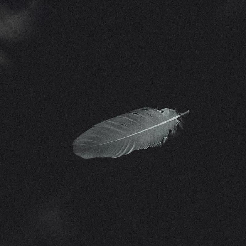 Nature scene for stress reduction